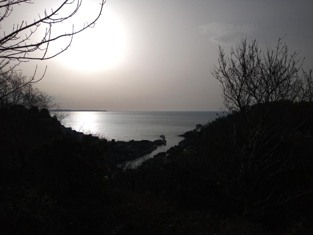 West Looe Downs Daire Dış mekan fotoğraf